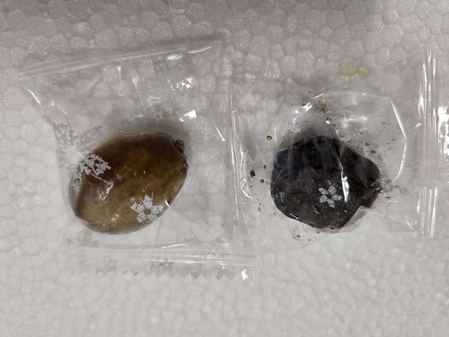 礁溪溫泉湯屋